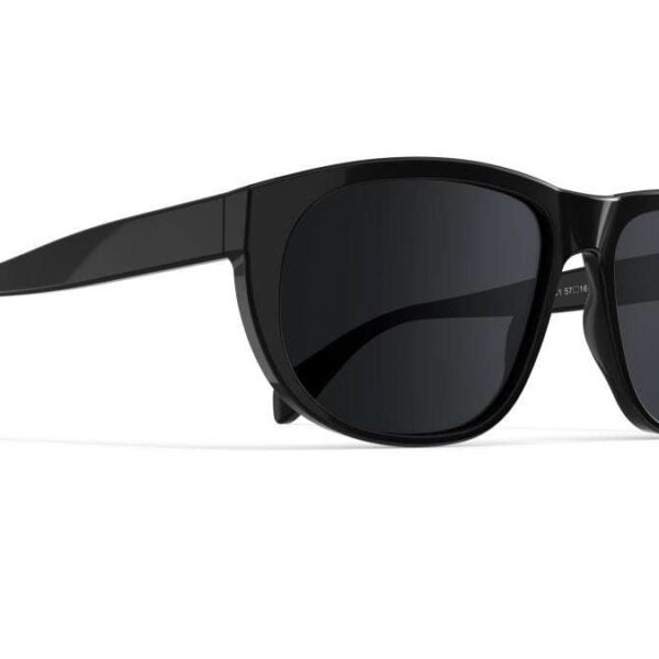 vallon wilburys sunglasses in black 615382 2000x